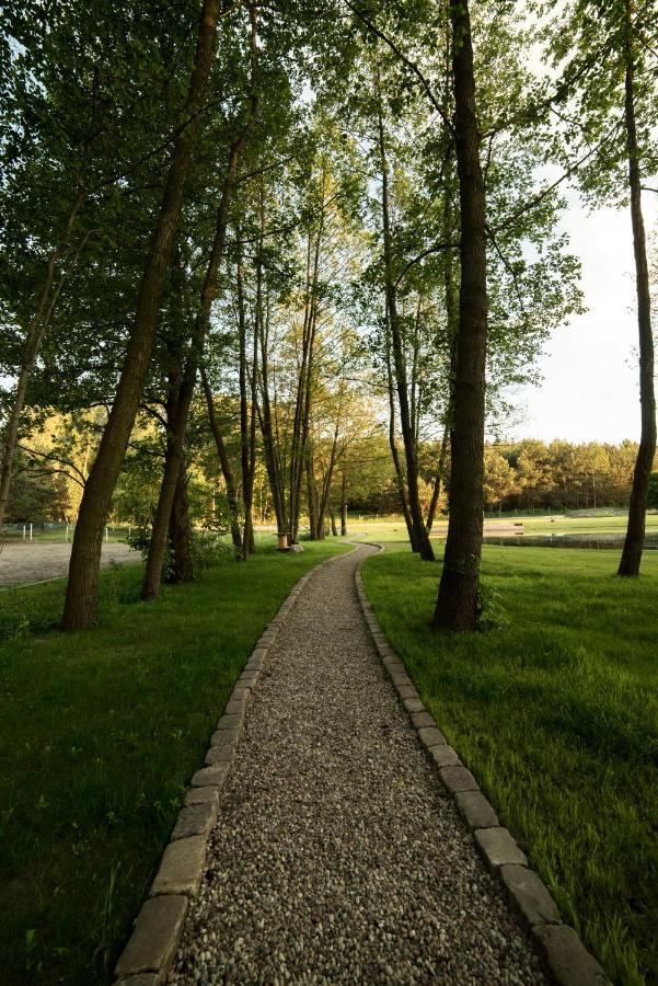 Forglamp Hotell Bydgoszcz Exteriör bild