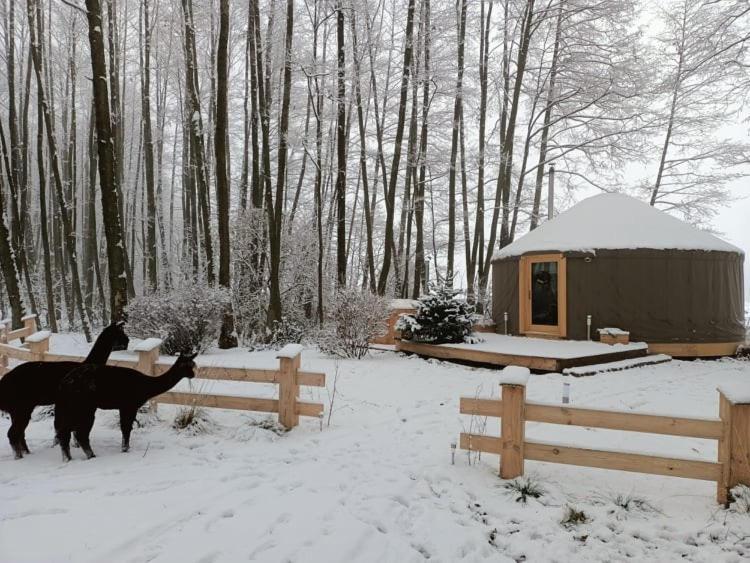 Forglamp Hotell Bydgoszcz Exteriör bild