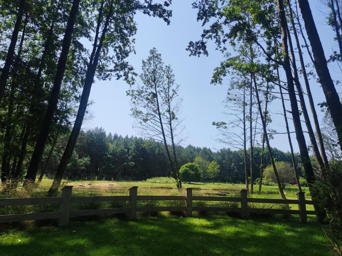 Forglamp Hotell Bydgoszcz Exteriör bild